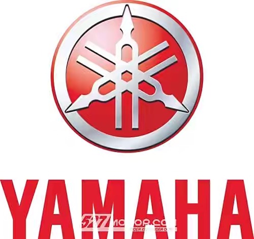 (YAMAHA舷外机/卧机系列维修范围)