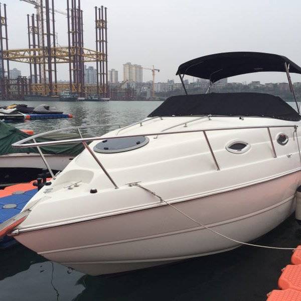 出售二手 美国STINGRAG 250小游艇